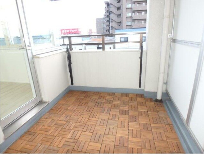 ダイアパレスロイヤルシティ東幸町西棟 308号室 その他