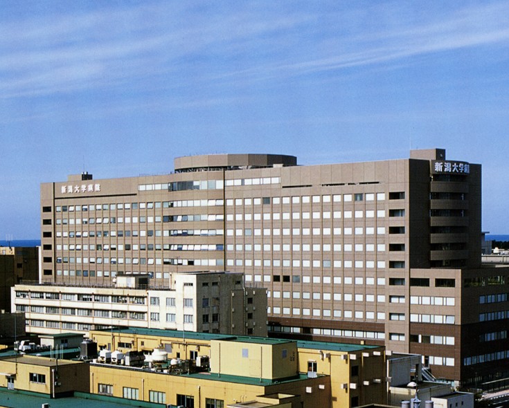 西堀シャルム 906号室 周辺画像5