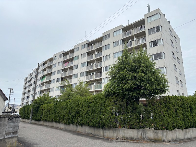 マンションアイビス 311号室 外観写真