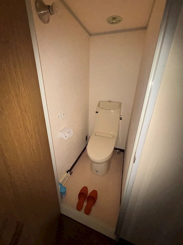 マンションアイビス 311号室 その他