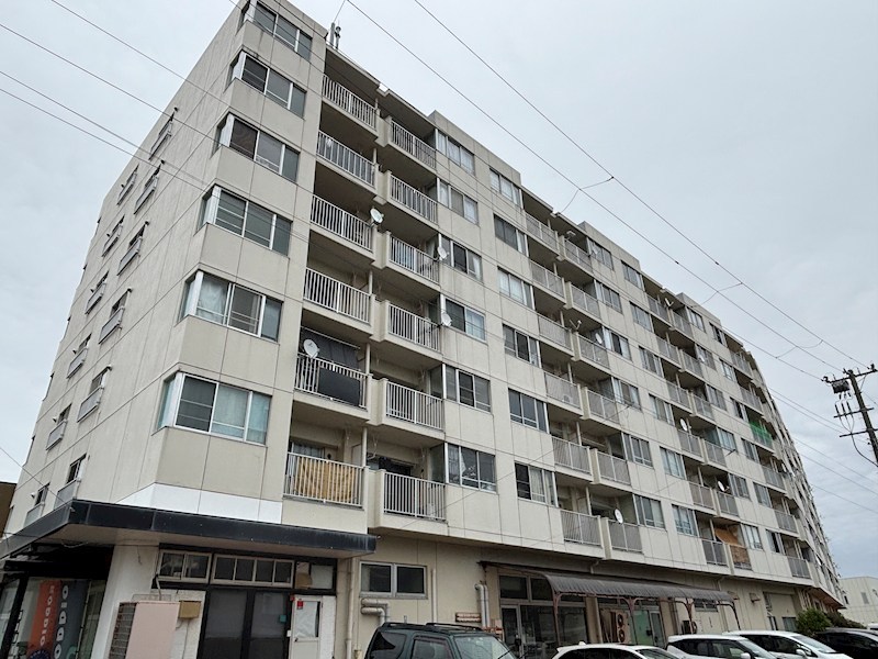 マンションアイビス 311号室 その他