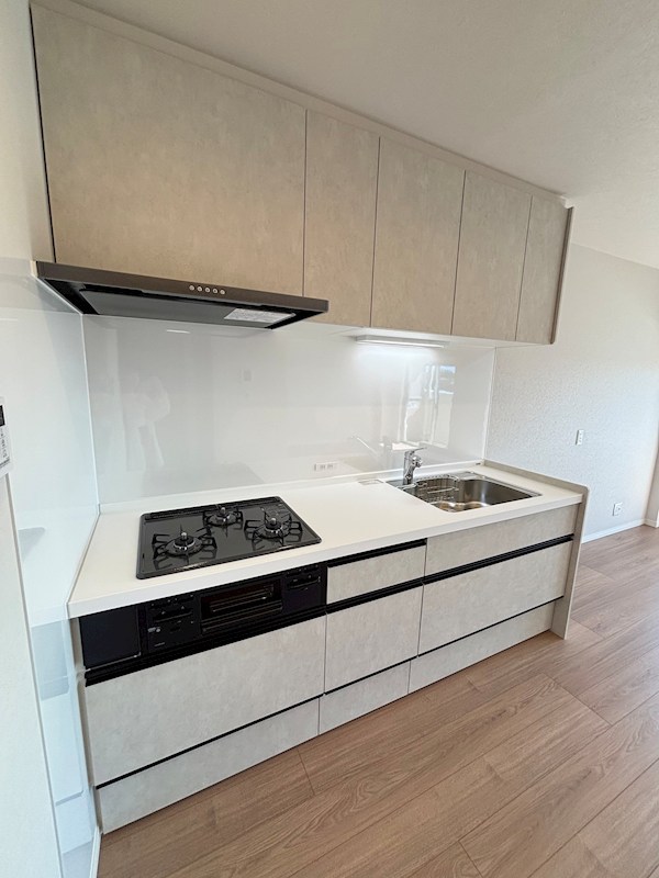 マンション青山カメリア 1011号室 その他