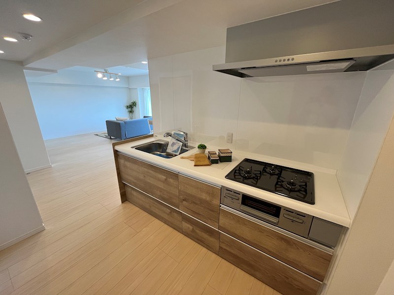 マンション青山カメリア 1011号室 その他