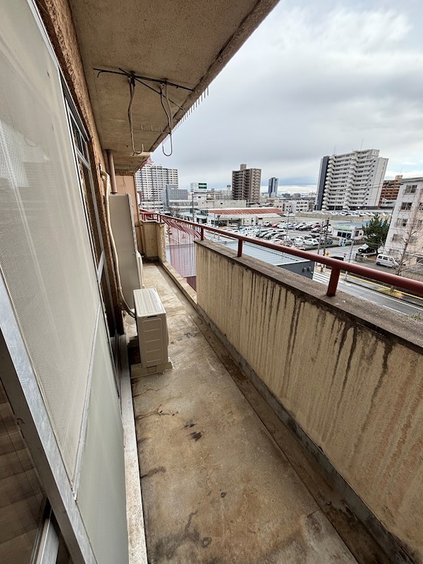 サニーアームス その他