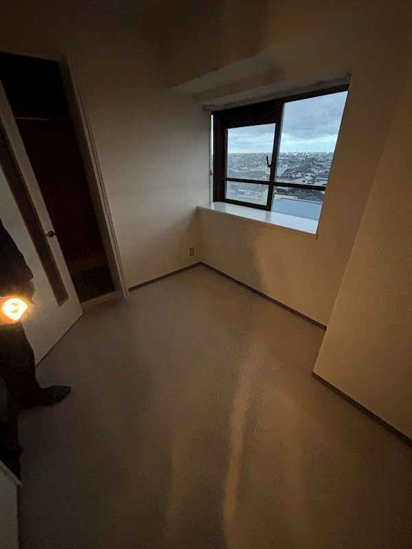 ダイアパレス大手町 その他