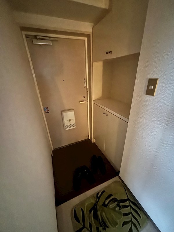 ダイアパレス大手町 その他