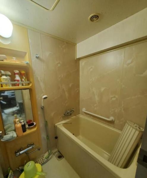 ダイアパレス道上山 その他