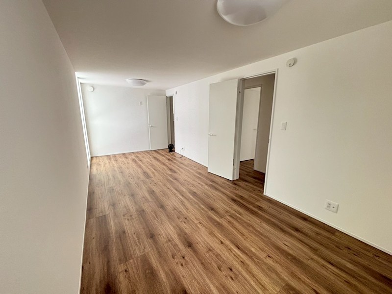 東区物見山1丁目新築戸建A号棟  その他