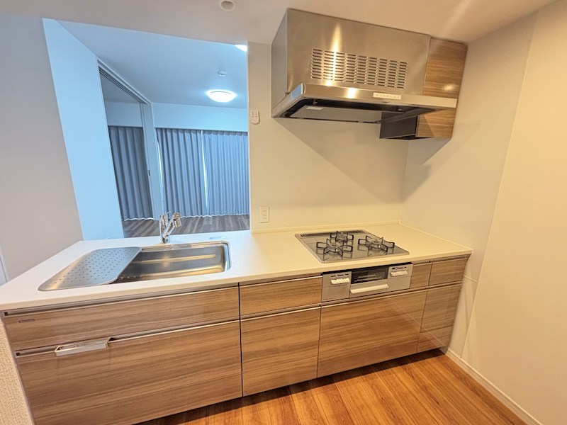 ダイアパレス白山 1507号室 その他