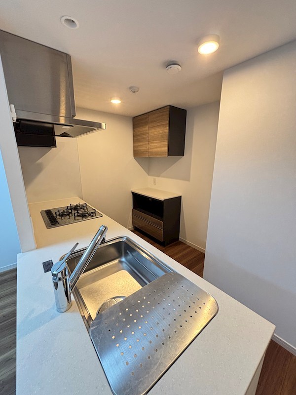 ダイアパレス白山 1507号室 その他