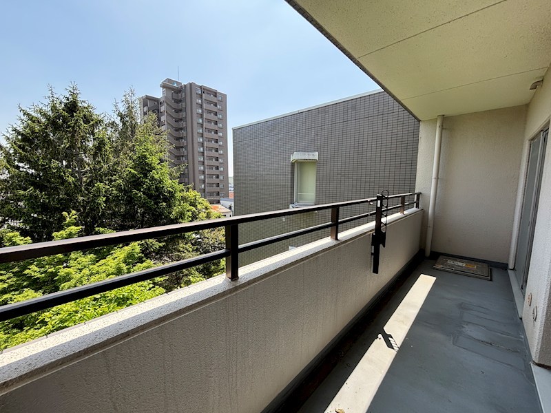 ダイアパレスロイヤルシティ東幸町西棟 その他