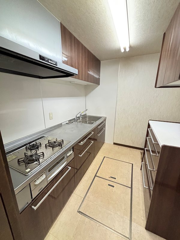 プレジデント寄居 106号室 その他