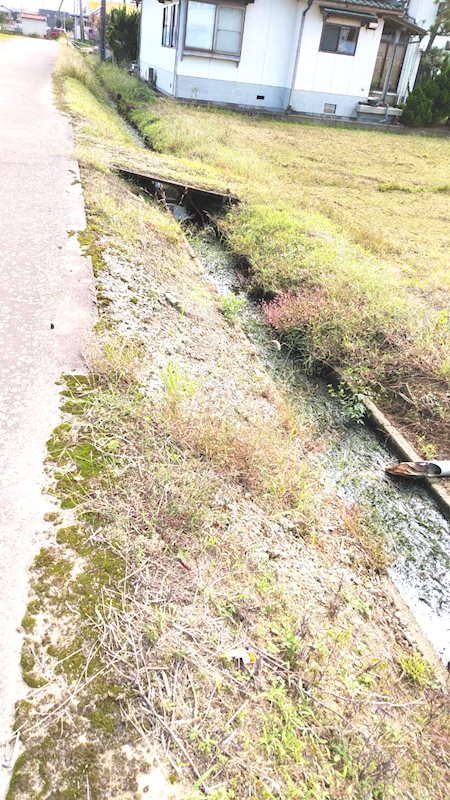 坂井市三国町覚善　売地 現地写真
