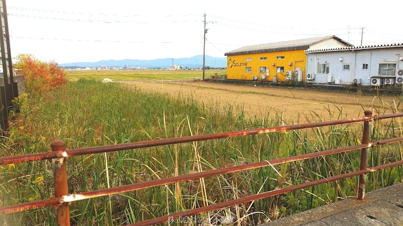 坂井市三国町覚善　売地 現地写真