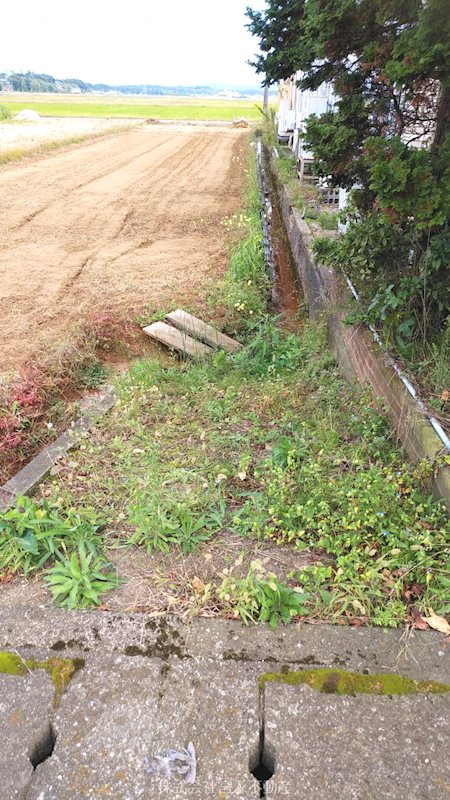 坂井市三国町覚善　売地 現地写真