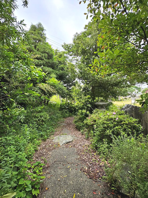 福井市西畑町 その他
