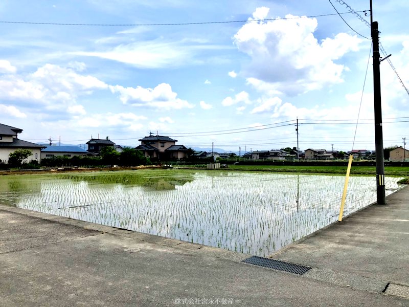 坂井市春江町針原　売地 現地写真