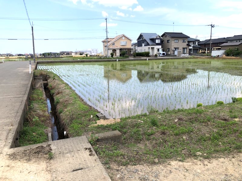 坂井市春江町針原 現地写真