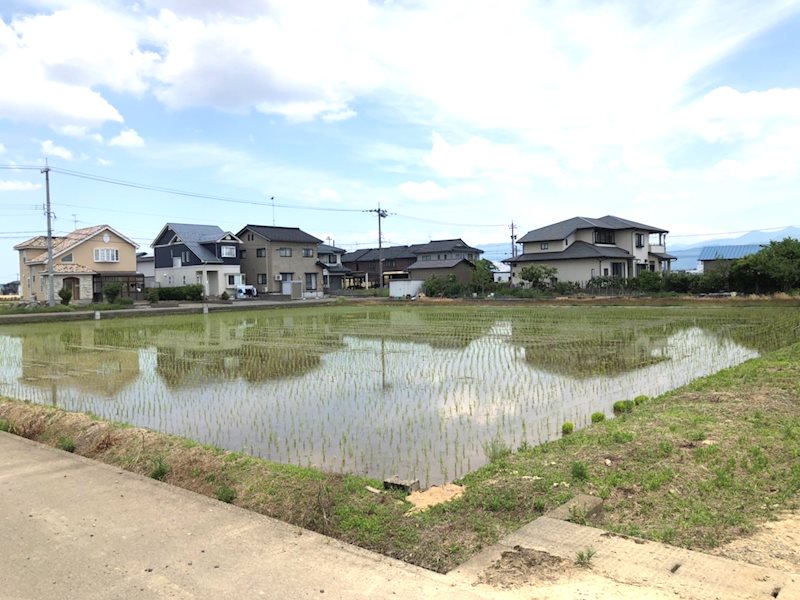 坂井市春江町針原 現地写真