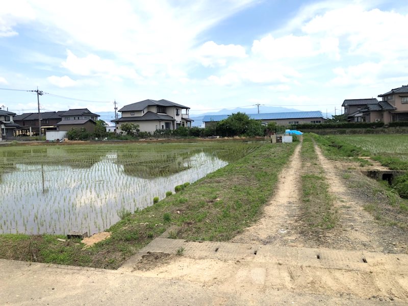 坂井市春江町針原 現地写真