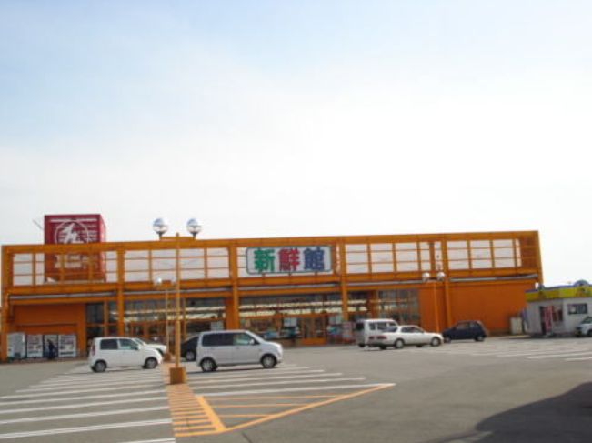 坂井市丸岡町一本田  スーパー