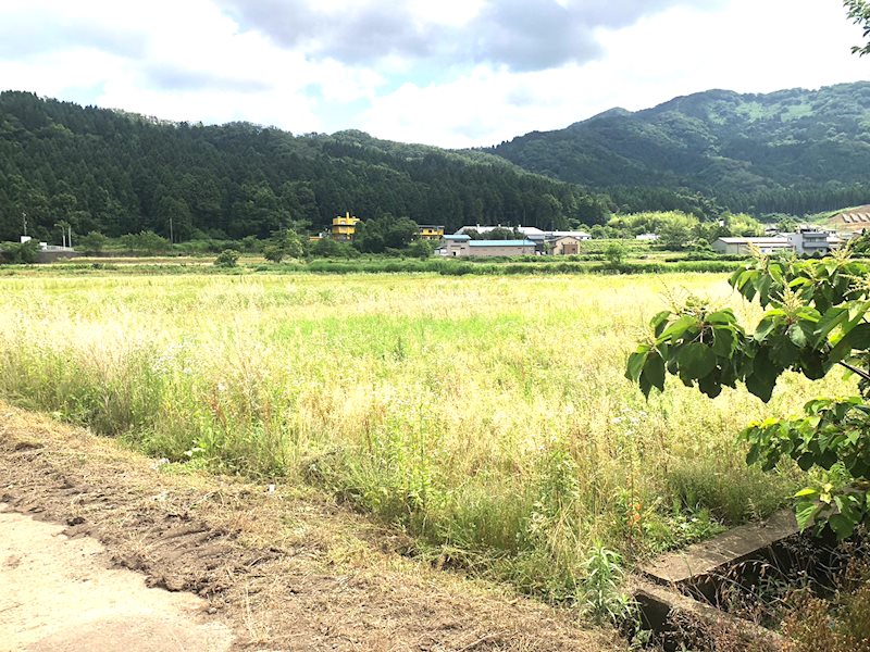 坂井市丸岡町上久米田 現地写真
