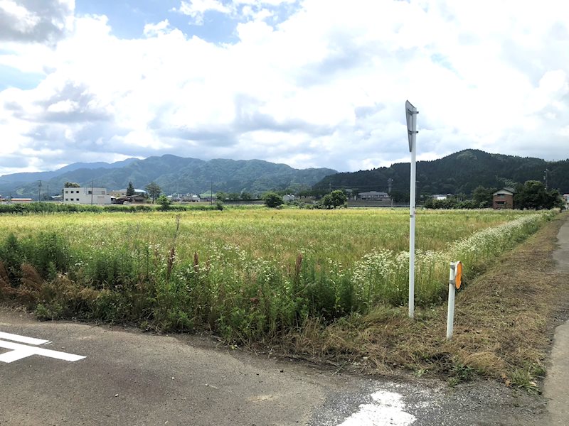 坂井市丸岡町上久米田 現地写真