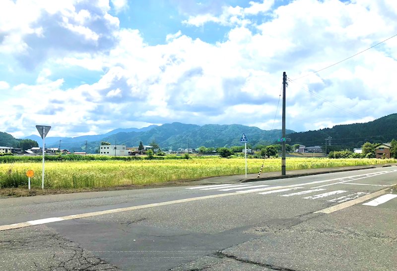坂井市丸岡町上久米田 現地写真（前面道路含む現地写真）
