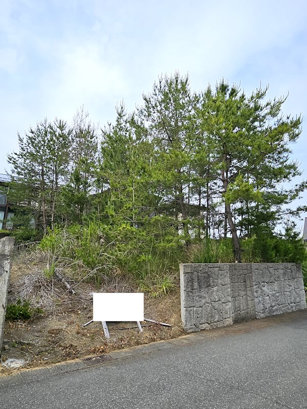 坂井市三国町緑ヶ丘4丁目　売地 現地写真