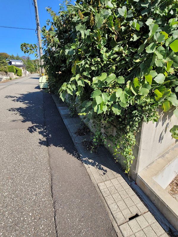 坂井市三国町米ケ脇1丁目　売地 現地写真（前面道路含む現地写真）