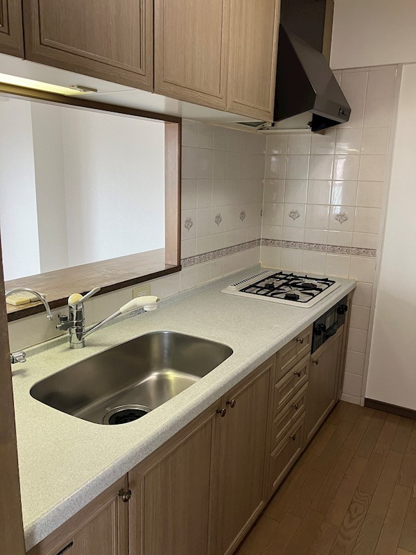 ダイアパレス豊中城山 その他