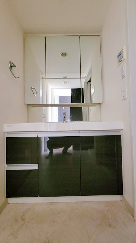 サンデュエル湘南平塚アクアステージ 内観写真（洗面台・洗面所）