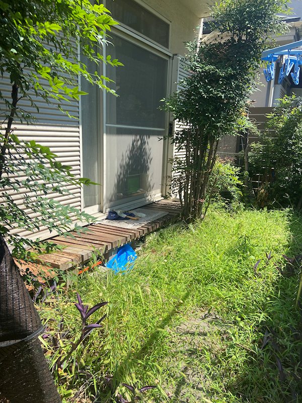 神奈川県平塚市河内１丁目 現地写真（庭）
