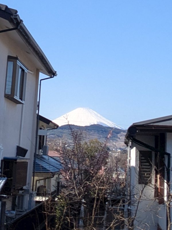 神奈川県中郡二宮町富士見が丘１丁目 眺望写真