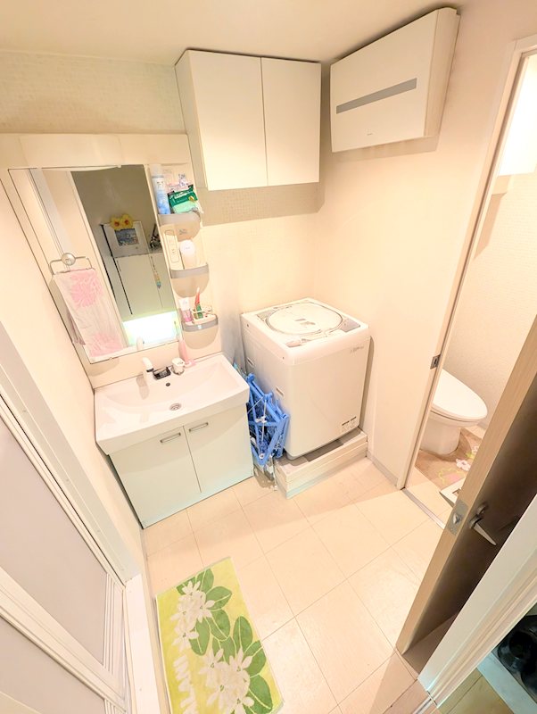 神奈川県厚木市中依知 内観写真（洗面台・洗面所）