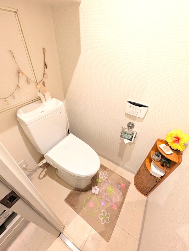 神奈川県厚木市中依知 内観写真（トイレ）
