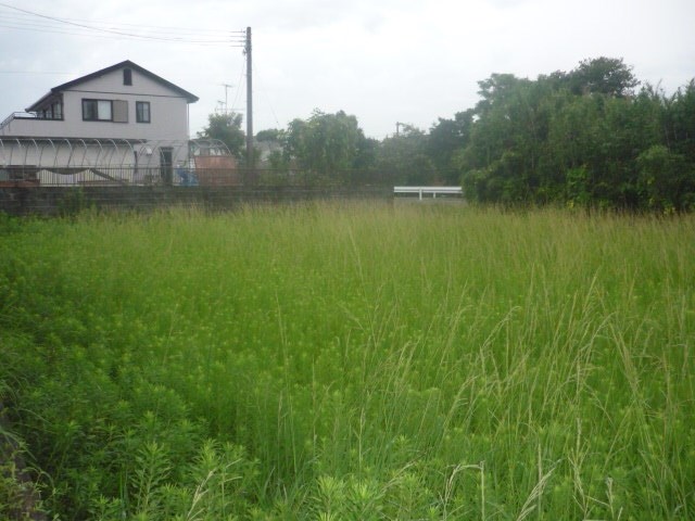 肝属郡東串良土地 間取図・土地図