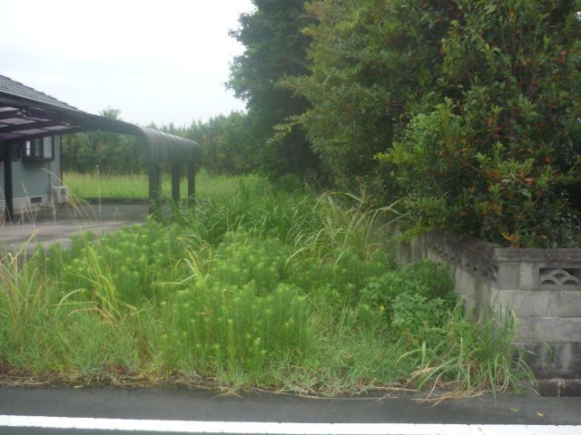 肝属郡東串良土地 その他