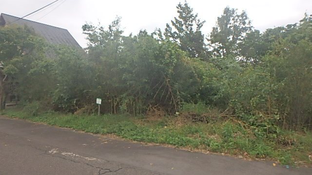 鹿児島県霧島市霧島大窪 現地写真