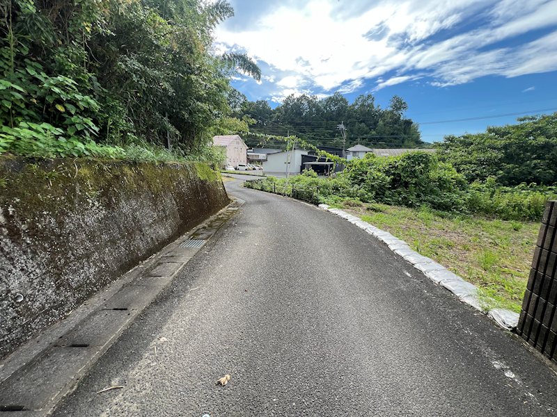 鹿児島県姶良市蒲生町久末 現地写真（前面道路含む現地写真）