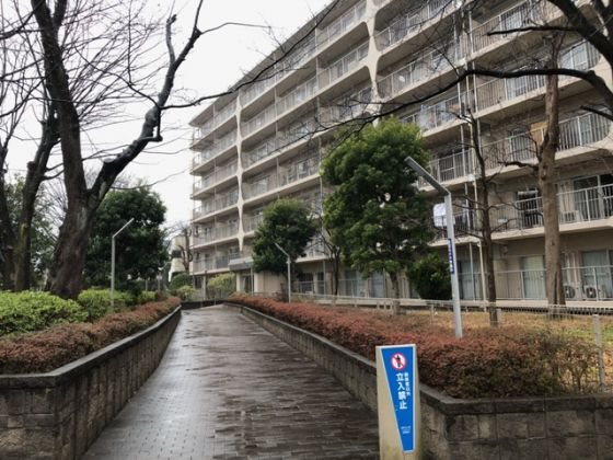 読売ランド前ハイデンス その他