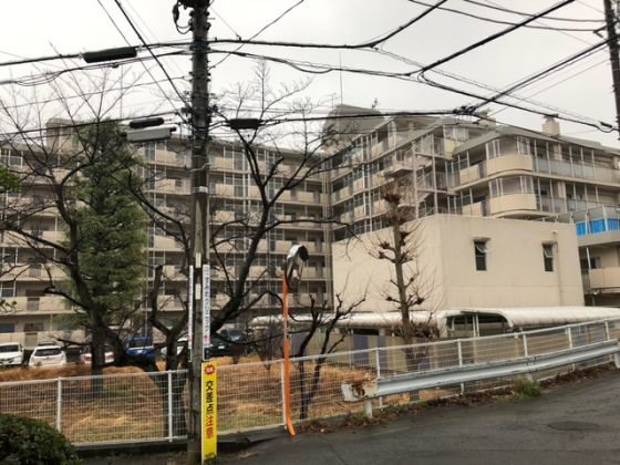 読売ランド前ハイデンス その他