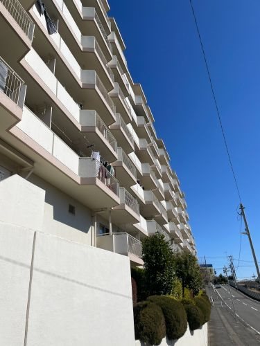 ドルフ青葉台1号棟 その他