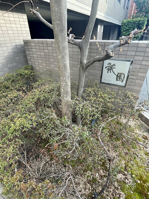 フェルティ祇園 その他