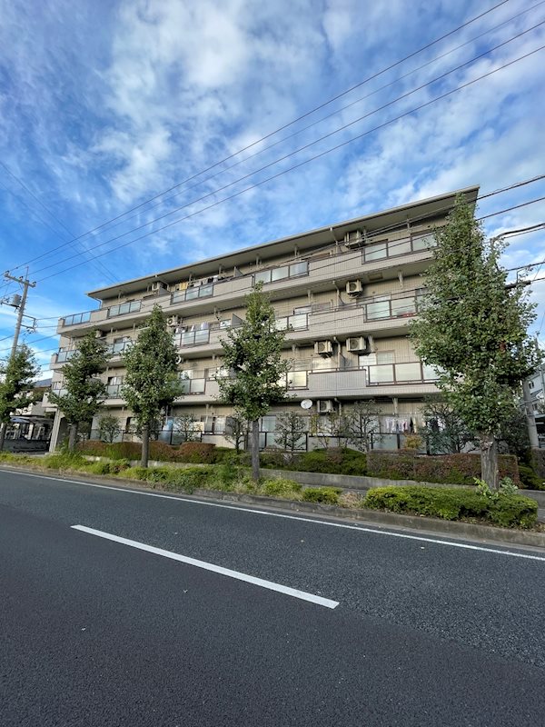 セレーネ多摩川 現地写真