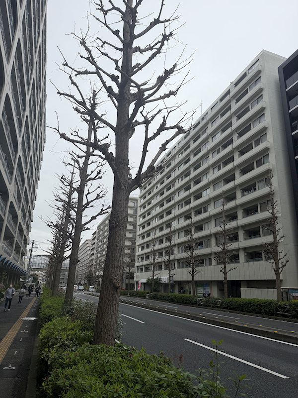 星和磯子マンション 現地写真