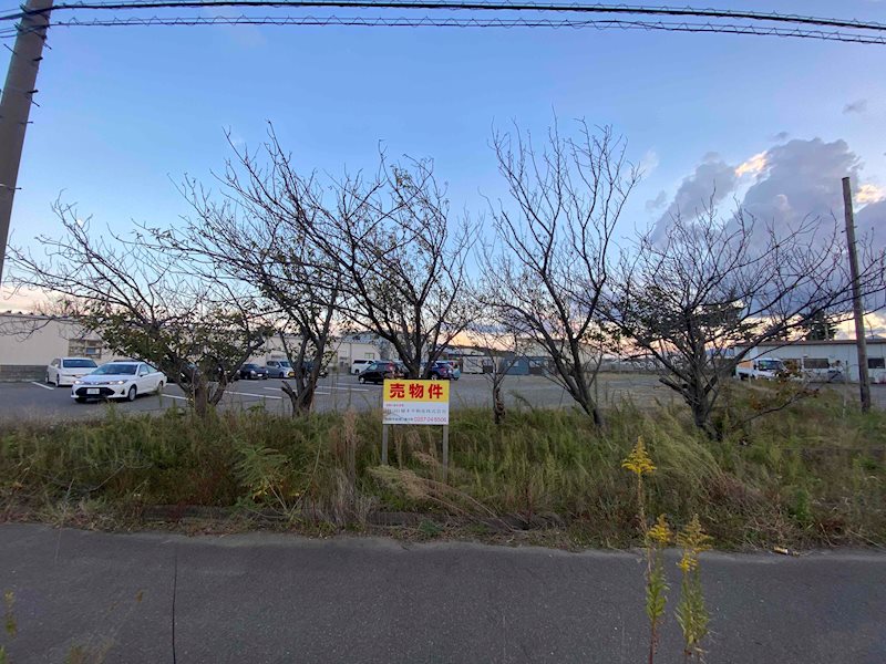 荒浜二丁目 約240坪 現地写真