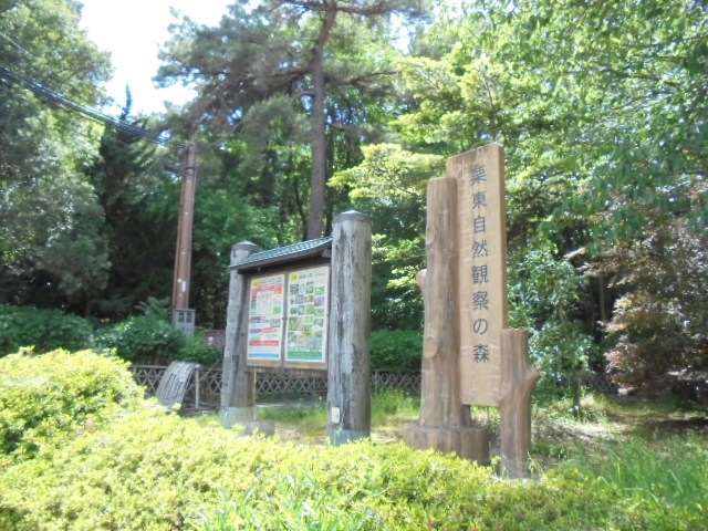 栗東市小野 周辺画像9