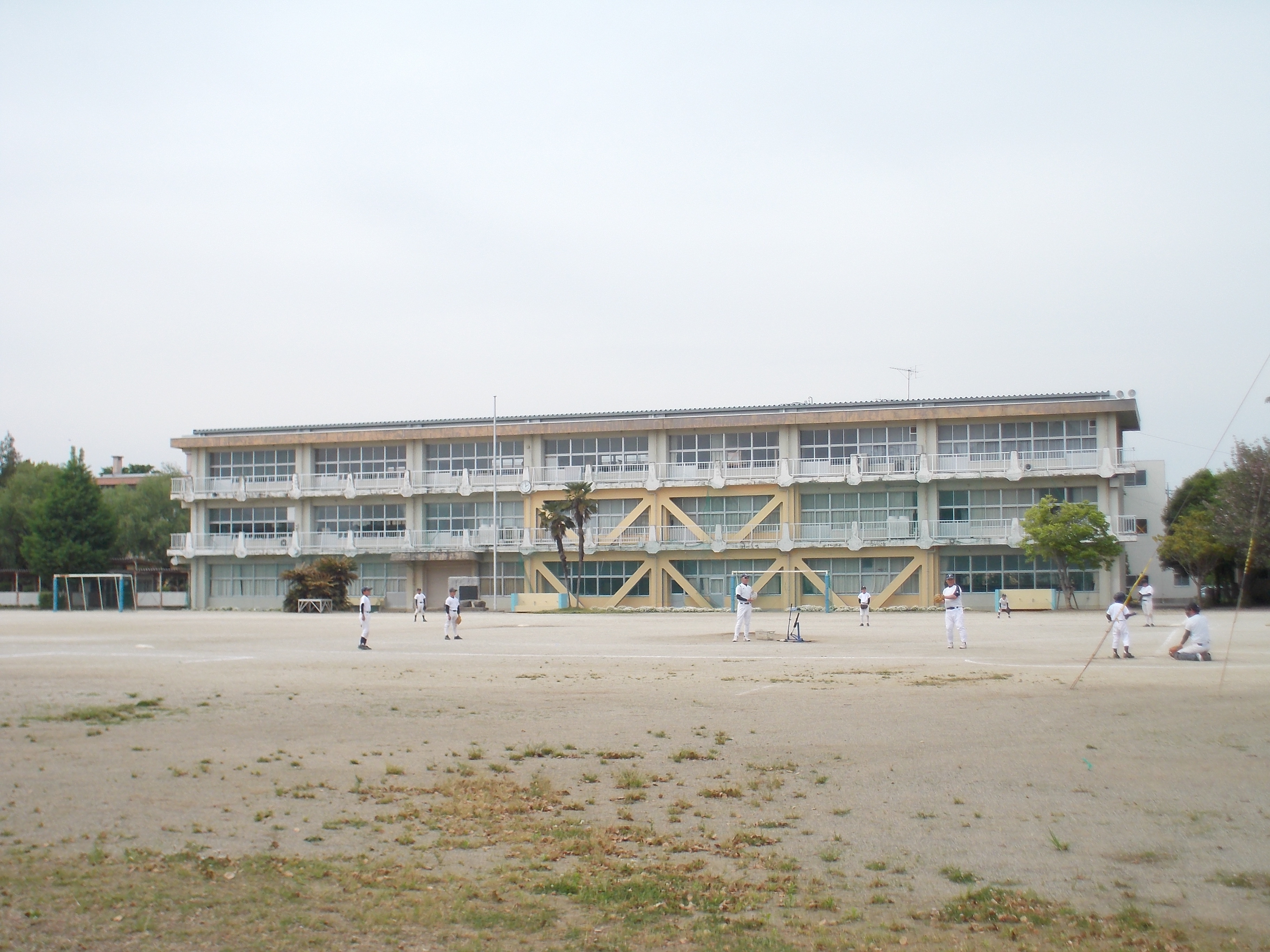 茨城県石岡市府中３丁目1785-4 小学校