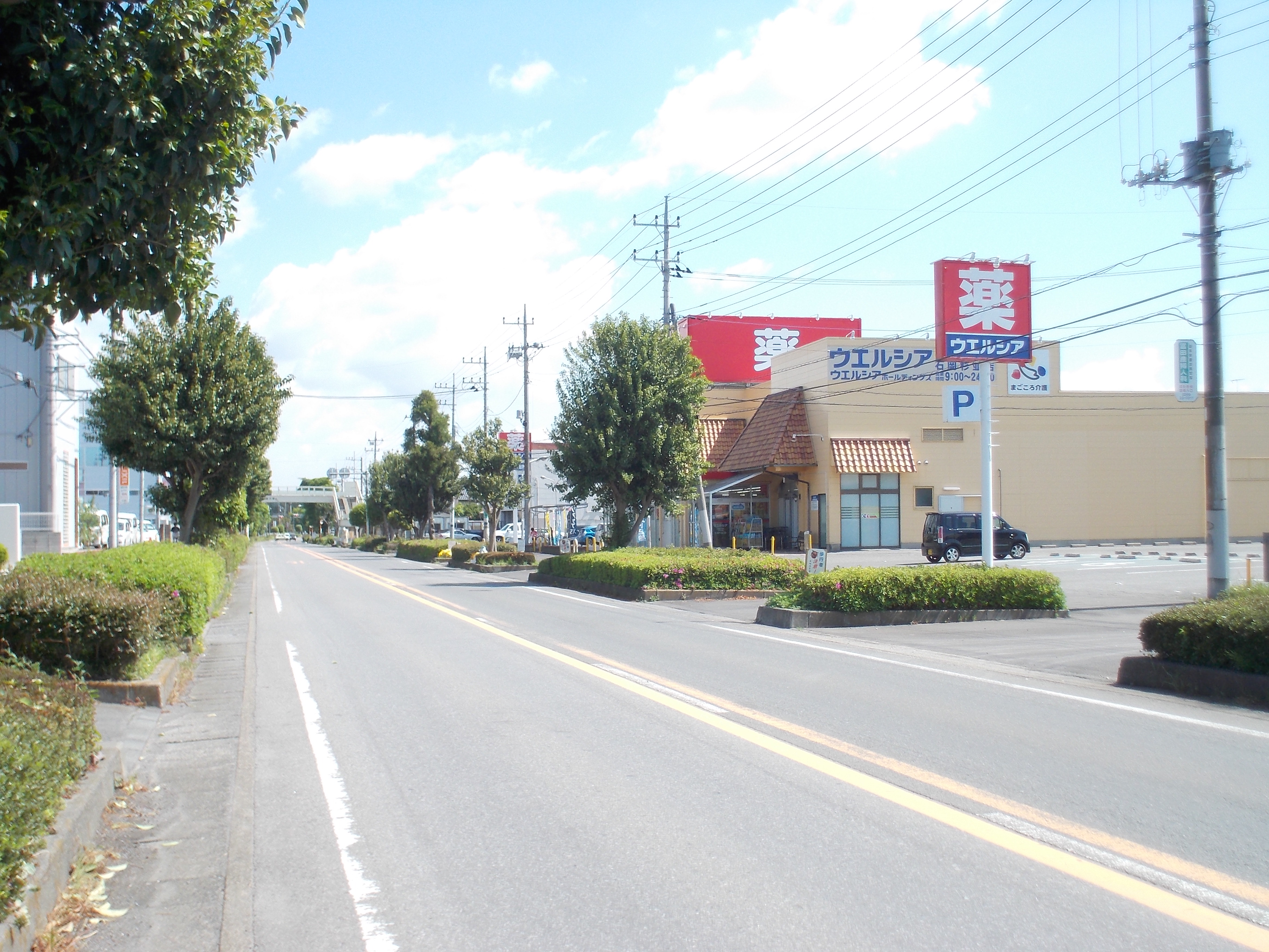 【限定１棟】　第1石岡市石岡 ドラッグストア